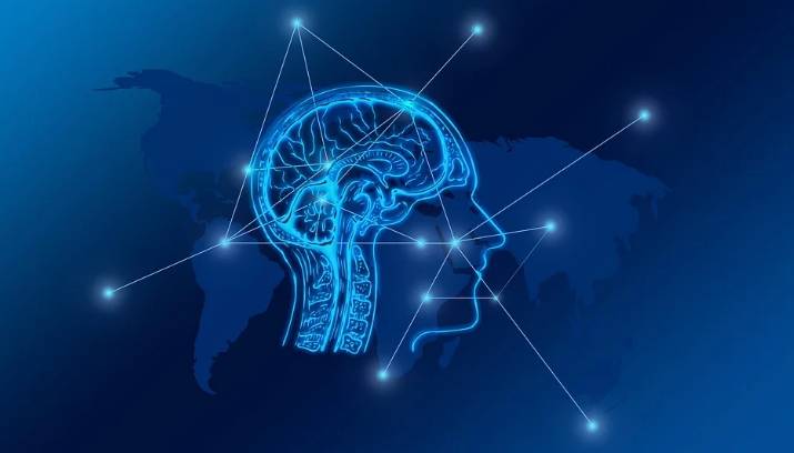 Support brain health supplement and improve sleep quality